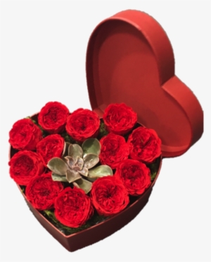12 Preserved Red Rose Heart Box With Succulent - Rose