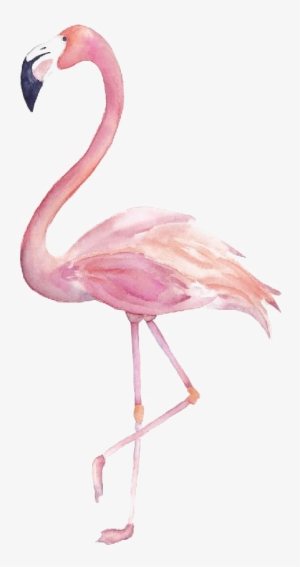 Flamingo Png Image Transparent - Flamingo Clipart Watercolor