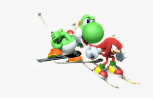 By The Way, The Instruction Manual Referred To Spiny - Mario And Sonic At The Olympic Winter Games Knuckles
