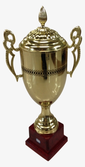 Trophy 2010 - 60 Cm - Veto Sports