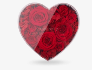 Classic Rose Heart - Flower Preservation