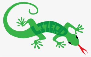 Lizerd Lizard Nickname Tongue Reptile - Reptile