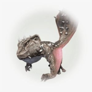 Stone Prickle Lizard - Black Desert Online