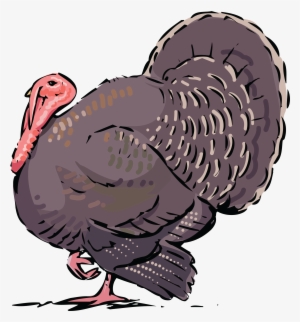 Hq Turkey Bird Png Transparent Turkey Bird - Pavo Animado