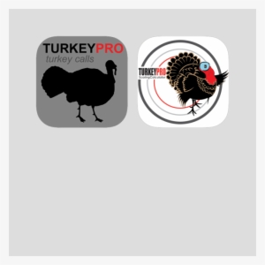 Turkey Calls & Turkey Score Calculator - Hunting