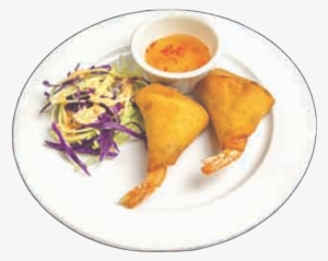 Fresh Spring Rolls - Fritter