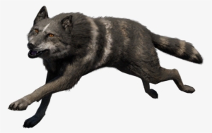 Mad Devil - Far Cry Wolf Png