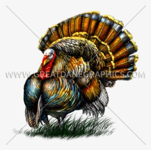 Big Turkey - Thanksgiving