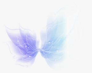 Realistic Fairy Wings Png Editing Effects - Transparent Png Fairy Wings