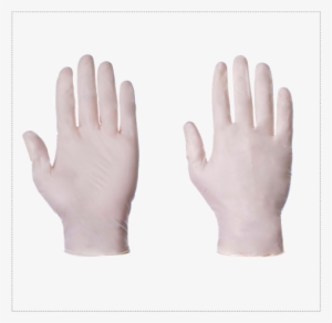 Powder Free Latex Gloves - Clear Gloves Latex Powdered Medium Box 100