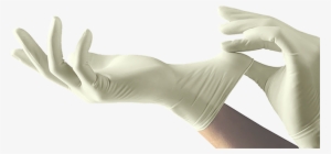 Surgical Gloves