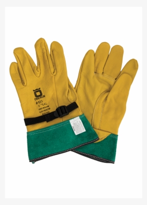 Glove