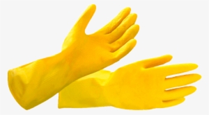 Glove
