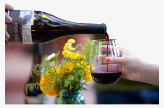 Onx Wines At We Olive