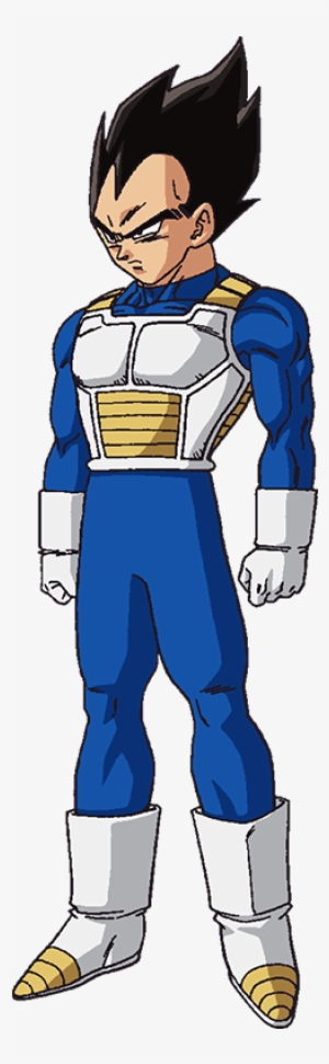 I Miss The Whis Outfits - Vegeta Whis Battle Suit