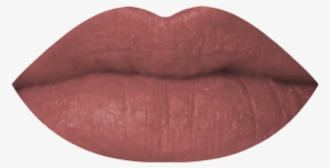Trust Fund Liquid Lipstick In Cool - Lipstick