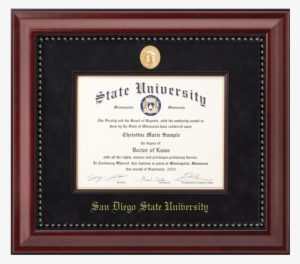 University Of Minnesota Diploma