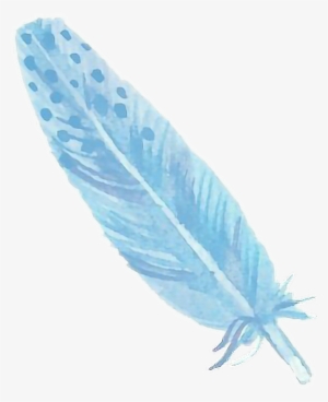 Report Abuse - Earrings Feather Feather - 25