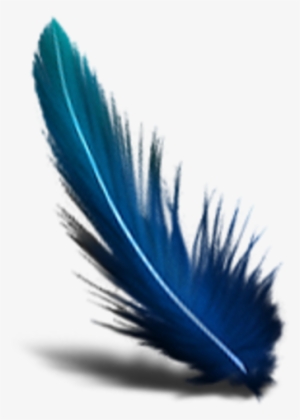 Blue Feather Transparent Background