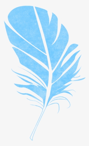 Schedule An Appointment With Kerri Shannon Today