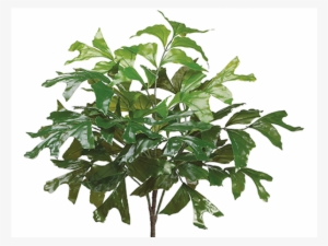 26" Eva Fishtail Palm Bush Green - Caryota