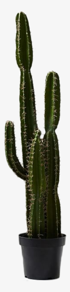 Xl Potted Saguaro Cactus