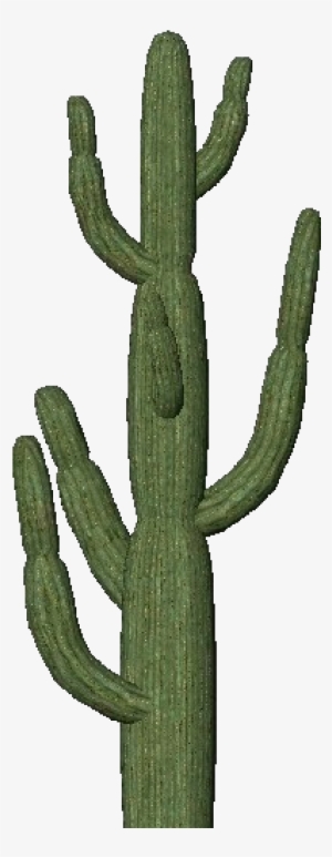 3d Flowers - Giant Saguaro - Software