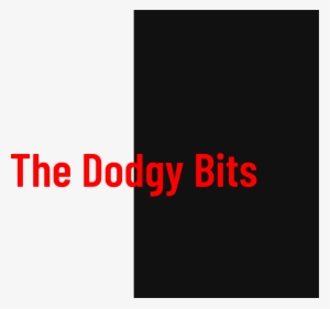 The Dodgy Bits Are Jim On Guitars, Vocals & Keyboards - Window Treatment