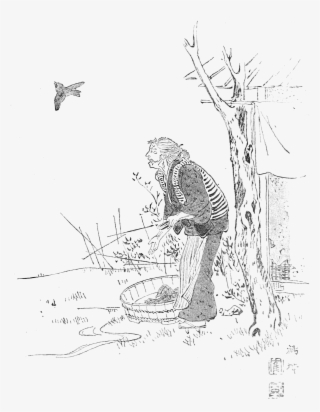 Japanese Fairy Book - Tongue-cut Sparrow