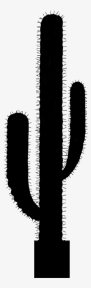 Event Plant Rentals - Thorns, Spines, And Prickles