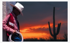 Tucson's Treasure - Tucson