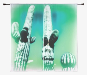 Saguaro Cactus Southwestern Scenery Aqua Curtains - Saguaro-kaktus-trockene Hitze Postkarte