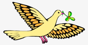 Confirmation Catechism