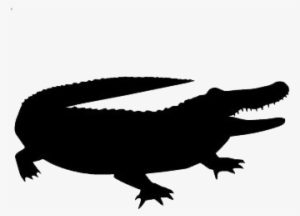 Alligator Vector Silhouette - Transparent Alligator Silhouette