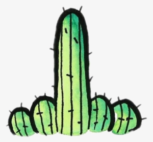 Cacti Cactus Tumblr Green Black Colour Fucktus Cactusfl - Cactus Png