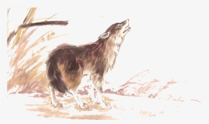 Wolfdog Ink Wash Painting Bird - Wolf