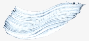 26 White Paint Brush Stroke - Marine Invertebrates