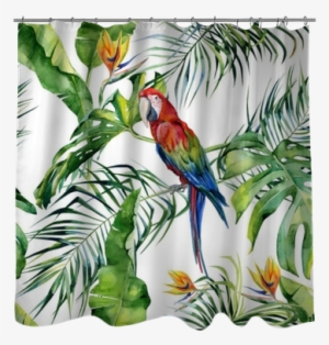 Seamless Watercolor Illustration Of Tropical Leaves, - Macaw