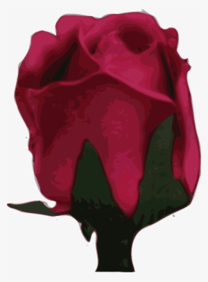 How To Set Use Blurred Pink Rose Clipart