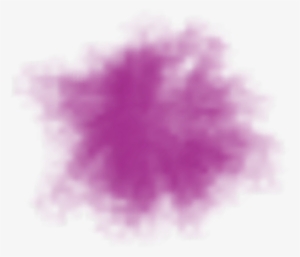 Celebrating The Beauty Of Diversity And The Uniqueness - Flower