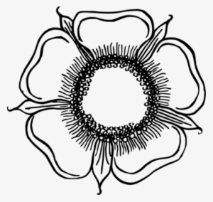 Flower Drawing Line Art Eye Circle - Clip Art