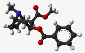 Cocaine From Xtal 3d Balls - Molecule
