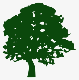 Oak Tree Clip Art - Green Oak Tree Silhouette