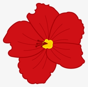 Red Hibiscus - Hawaiian Hibiscus