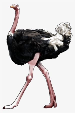100 Philosophers 100 Artworks 100 Words - Ostrich Png