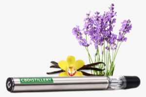 Electronic Cigarette