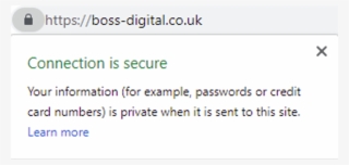 Pen Paper Flowers - Calligraphy