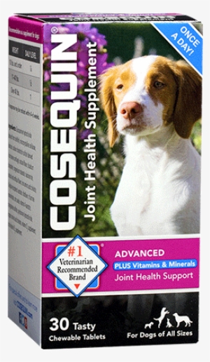 Cosequin Standard Strength Chewable Tablets