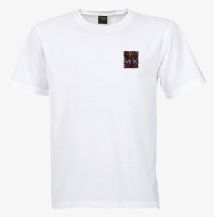 Xxxtentacion Stamp - White T Shirt Mockup Png