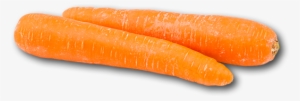 Australia Carrot - Baby Carrot